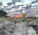 IMG_7467 IMG_7467
